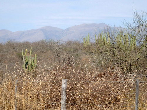 Argentina still has untamed land.